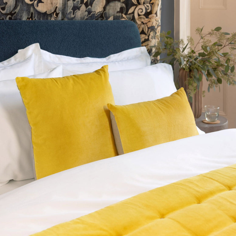 Turmeric-product_image