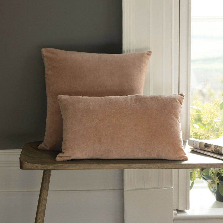 Terracotta-product_image