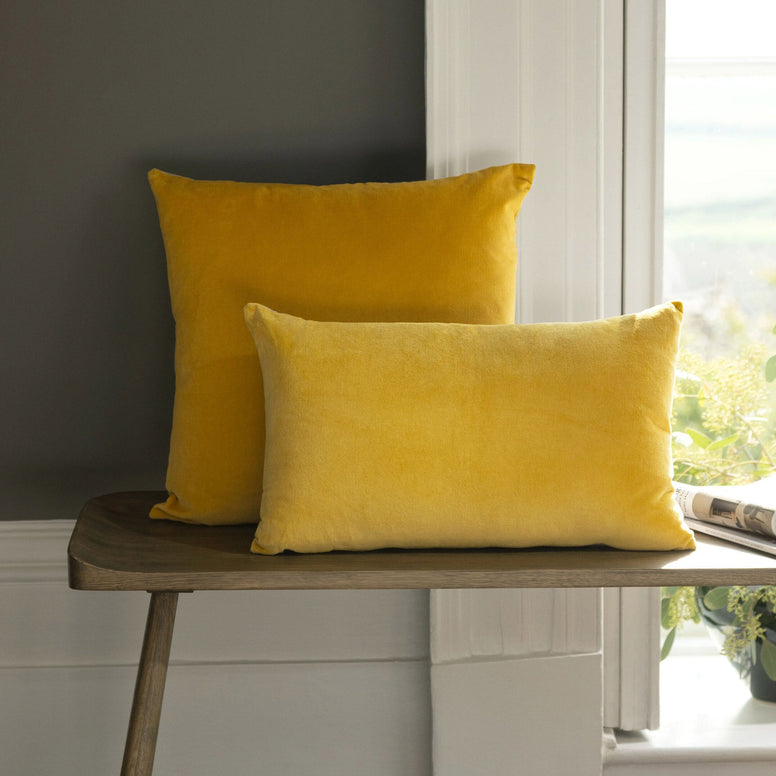 Turmeric-product_image