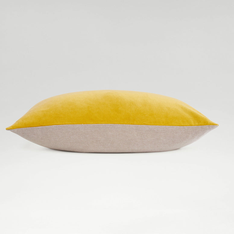 Turmeric-product_image