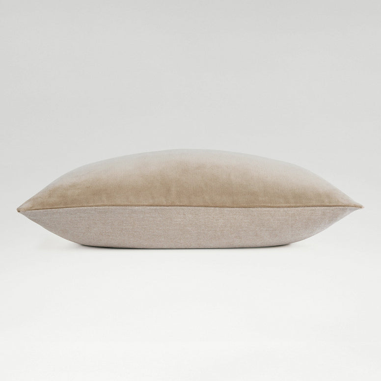 Hazelnut-product_image