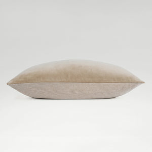 Hazelnut-product_image