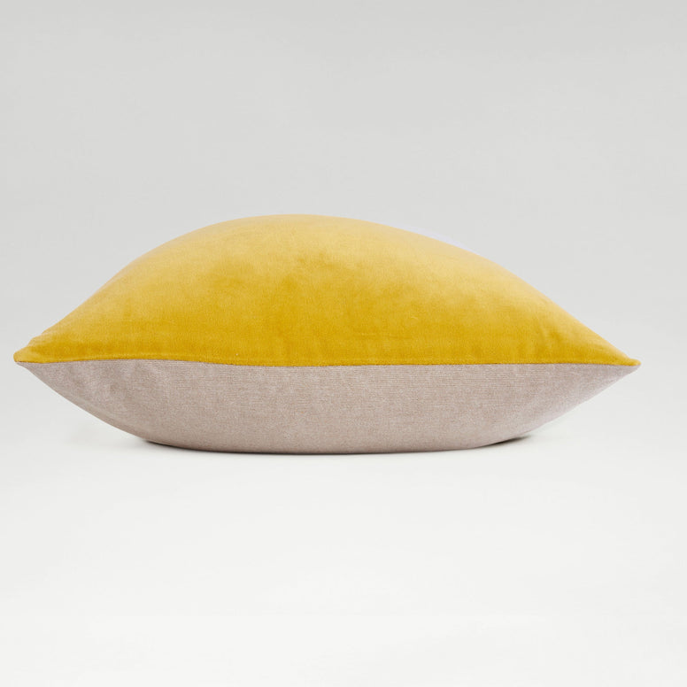 Turmeric-product_image