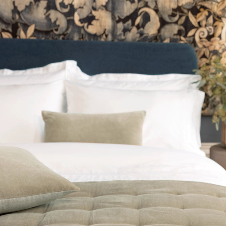 Hazelnut-product_image