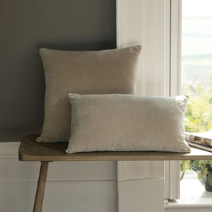 Hazelnut-product_image