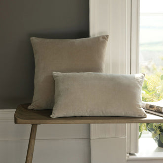 Hazelnut-product_image