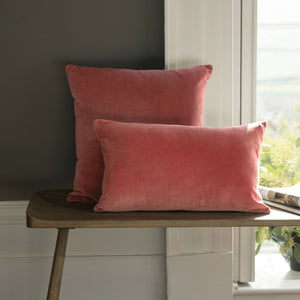 Garnet-product_image