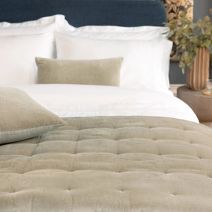 Hazelnut-product_image