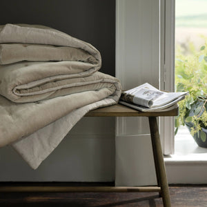 Hazelnut-product_image