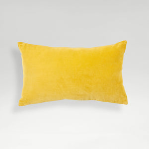 Turmeric-product_image