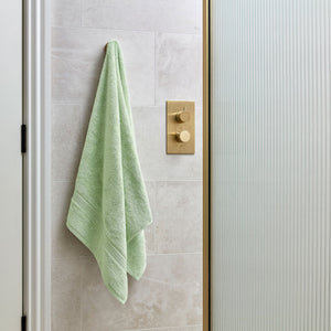 Cucumber-product_image